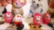 Hello kitty Surprise Eggs Маша и Медведь Kinder Masha i Medved Disney Peppa Pig Masha Toys