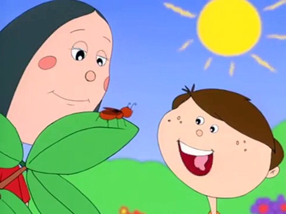 What Is An Insect?