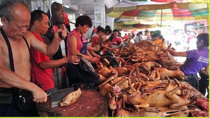 LAS COMIDAS MAS ASQUEROSAS DEL MUNDO