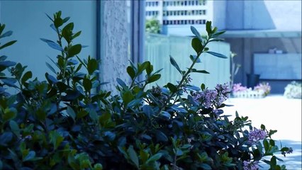 The Beauty Owl: Love Rain 사랑비 SNSD Yoona Fashion/Makeup/Hair