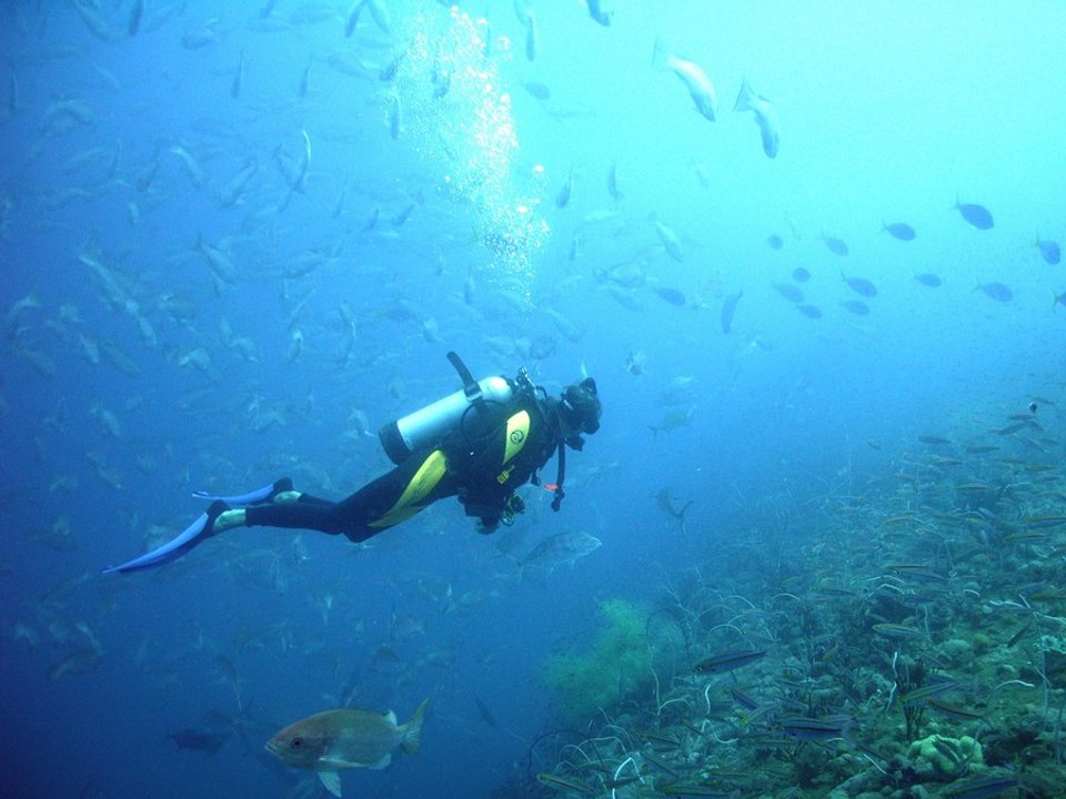 3 Unique Degrees for College Students