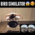 WOW! Bird Simulator-Prank,Comedy,Entertainment,Fun