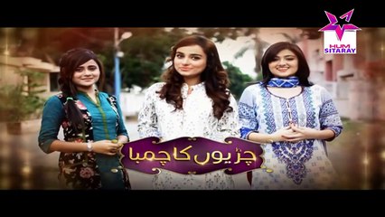 Chirryon Ka Chamba Episode 95 Full HUMSITARAY TV Drama 04 Sep 2015