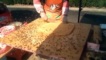 Çinde Sokakta Yemek Kültürü (Arı Saldırılı)