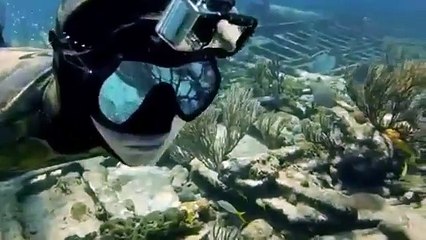 Wonderful View From Deep Sea