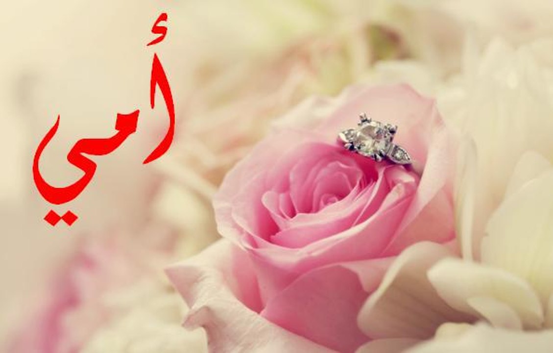 امى_حبيبتى قصيدة قوية .. نعتذر اذا تسببت فى بكائك