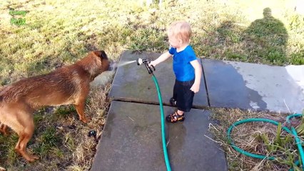 Dogs and Babies Playing with Hoses Compilation 2015 [NEW HD]