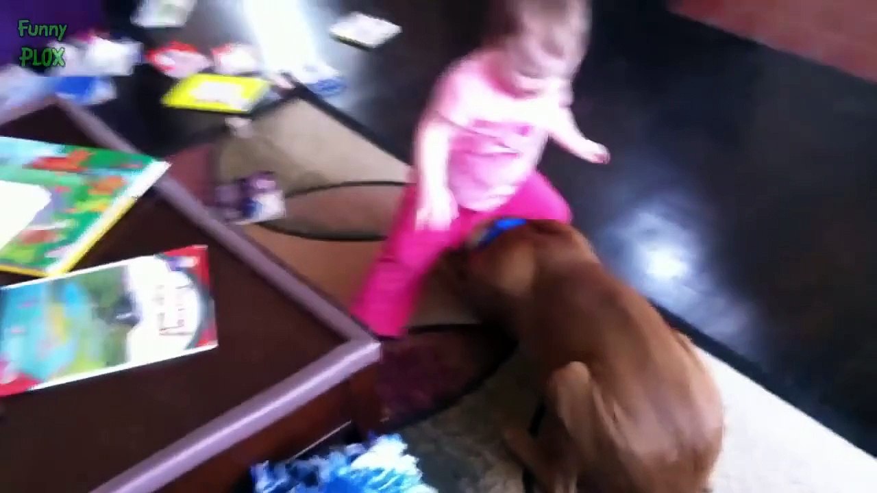 Funny Babies Annoying Cats and Dogs Compilation 2014 [HD]