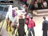 Elle déchire son jean lorsqu elle monte sur un chameau
