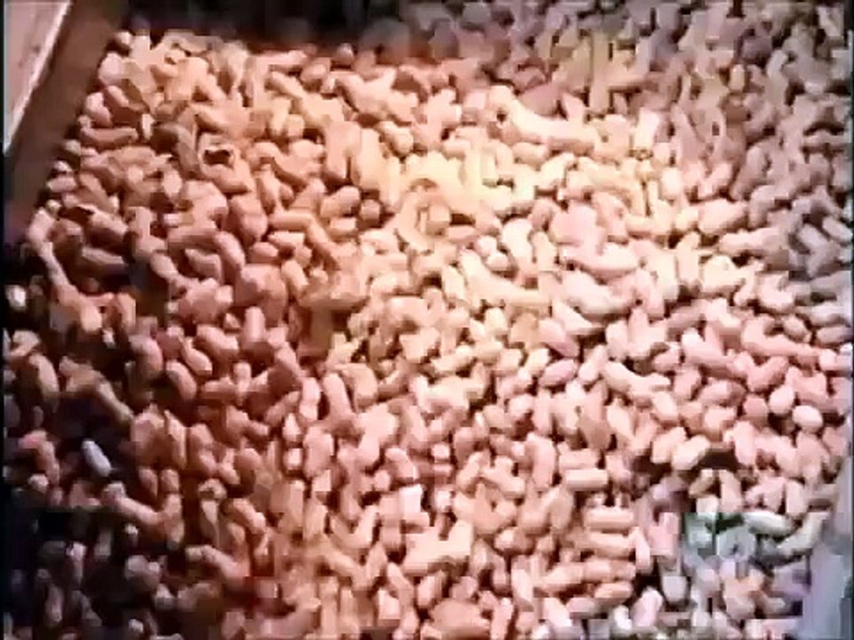 How its Made Nuts
