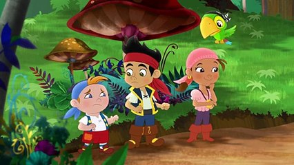 Jake i piraci z Nibylandii Urodziny Haka. Oglądaj tylko w Disney Junior!