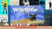 PDF Download  Rocky Mountain National Park Wildlife A Postcard Book Postcard Books PDF Full Ebook