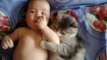 Cute cat loves baby from funny and cute cats and babies collection
