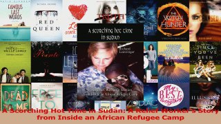 PDF Download  A Scorching Hot Time in Sudan A Relief Workers Story from Inside an African Refugee Camp Download Online