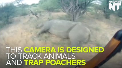 This Camera Is Designed To Catch Poachers