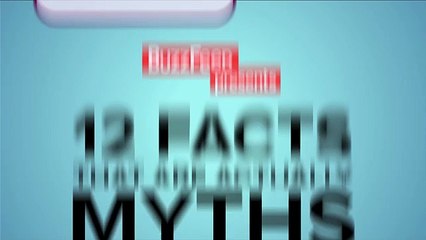 Sorts of magic 12 Lies Everyone Accepts As Fact