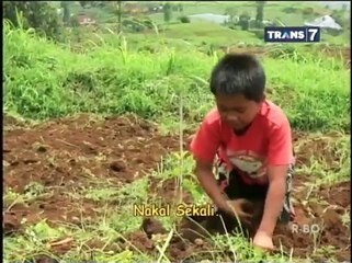 Bocah Petualang - Kami Cinta Tanah Sunda