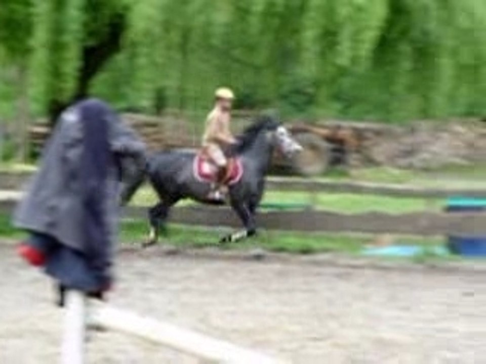 Naba sautant