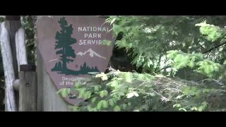 EVERGREEN - A National Parks Documentary (Rainier, St