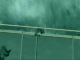 Clip1