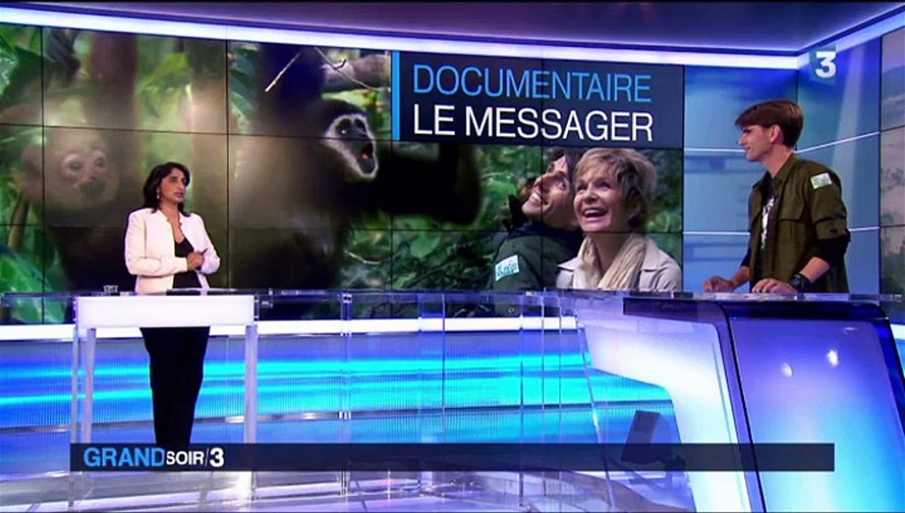 Kalaweit - Le messager