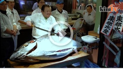 Video herunterladen: Bos sushi 'berhabisan' dapat bluefin gergasi