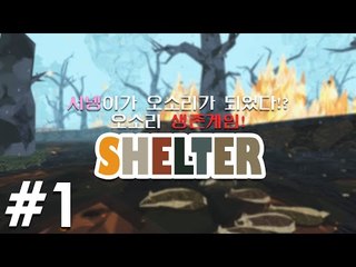 서넹오소리엄마가 되다 오소리가족의 생존기 쉘터 1편 Shelter [양띵TV서넹]
