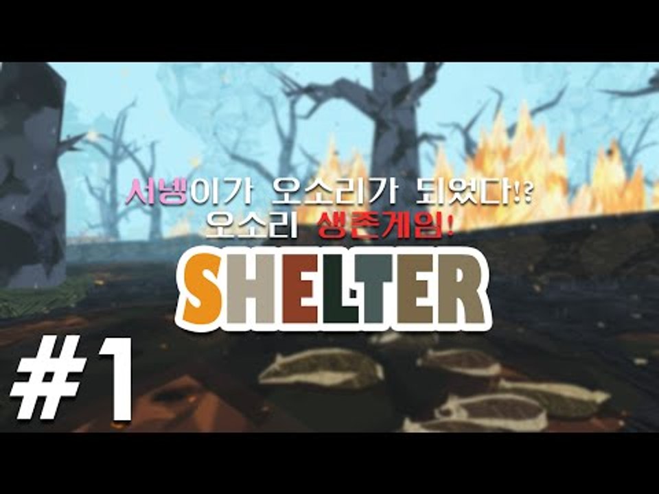 서넹오소리엄마가 되다 오소리가족의 생존기 쉘터 1편 Shelter [양띵TV서넹]