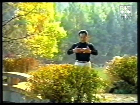 Тренировка своего тела