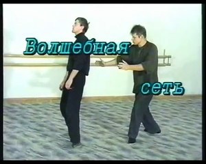 Укоренения ростка ИНЬ.волшебная сеть