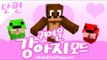 히로빈,스티브강아지까지 ? 멍멍멍!! 귀여운 강아지 모드! [양띵TV서넹] Minecraft Cute Puppy mod