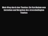 Mein Weg durch den Tinnitus: Ein Kurrikulum vom Entstehen und Vergehen des stressbedingten