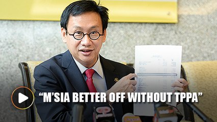 'Trade balance better without TPPA'