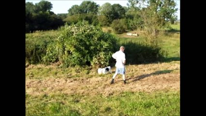 Trixy Wandeling Maas 11 augustus 2012
