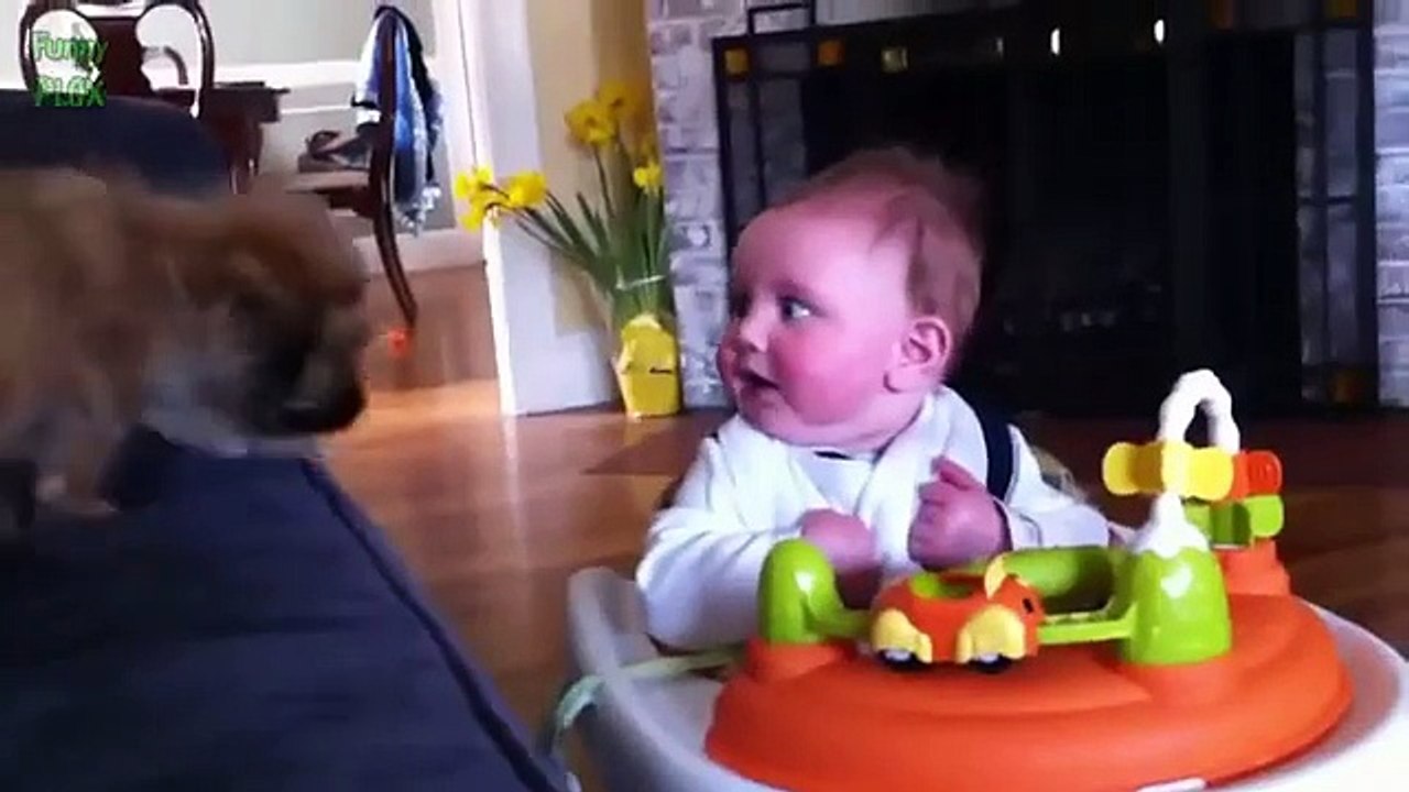 Babies Laughing Hysterically at Dogs Compilation 2015 NEW HD