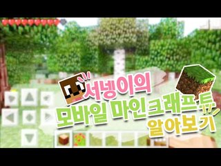 모바일 마인크래프트 Minecraft PE 체험기 단편 [양띵TV서넹]