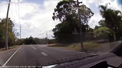 A Wild Fuckwitt Appears!