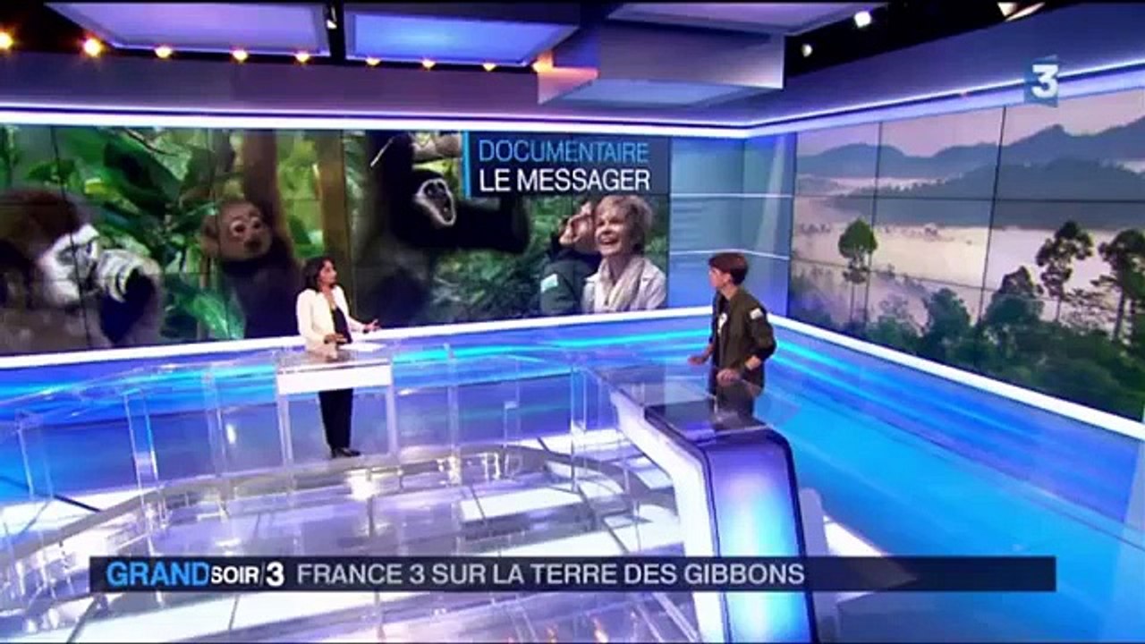 (FR) Le grand soir 3 / 05/01/2016