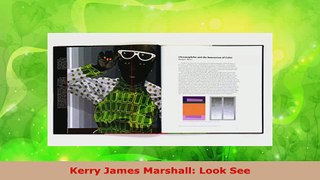 Download  Kerry James Marshall Look See EBooks Online