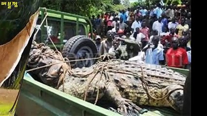 울산오피 《Ø1Ø↔2156↔2Ø45》 e you 있는 class  〖추천〗울산오피녀 class