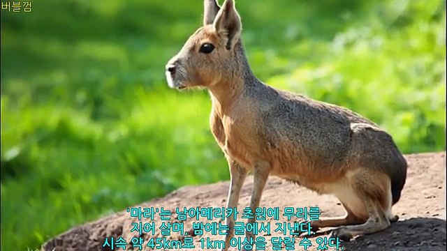 №❶울산오피 《Ø1Ø↔2156↔2Ø45》 사랑합니다〖good girl〗울산오피걸☑️울산밤문화☑️울산유흥