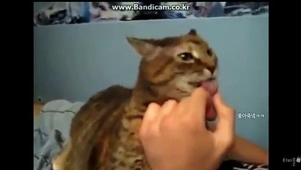 ༻울산오피༺ ΓO1O↔2156↔2045￡❶등 Prime〖good girl〗울산오피 지실장