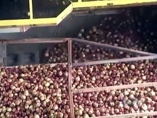 how Make Apple juice very Beaytiful tutorial