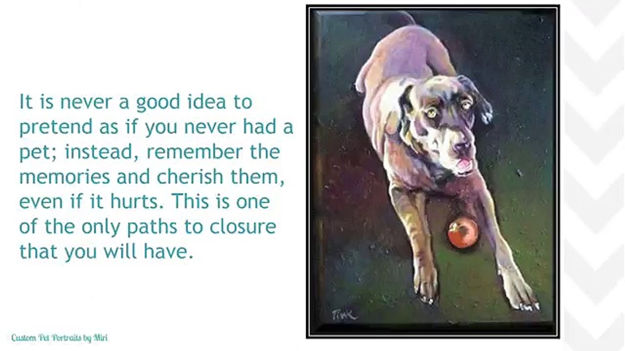 Missing Your Pet Ideas To Ease Your Loss