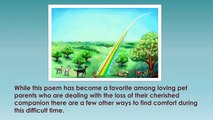 The Rainbow Bridge Ways to Remember Your Pet