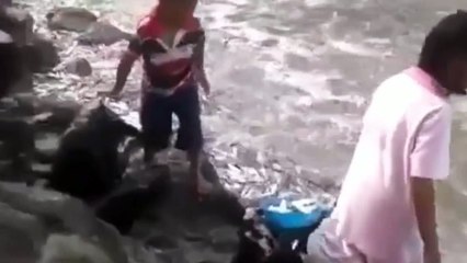 Million of Fish Stranded at Seaside - How Can It Be