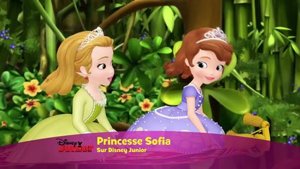 Princesse Sofia - Chanson: Le plus beau jour de ta vie