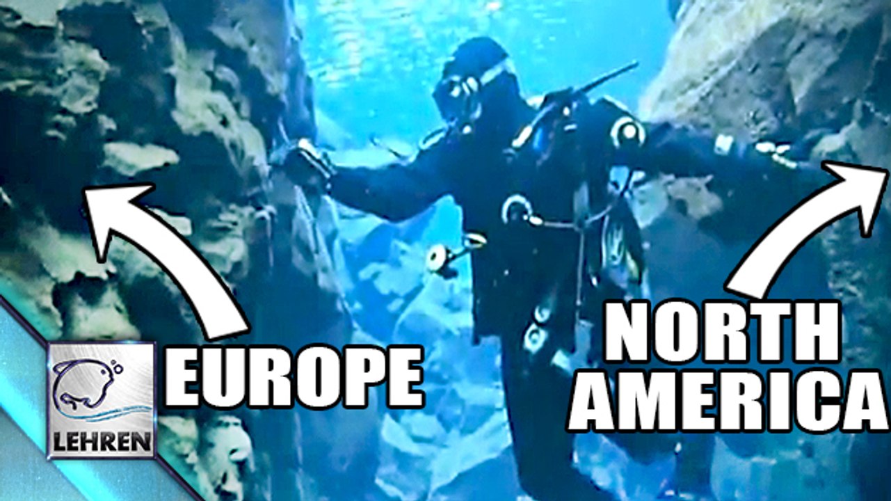 What?? Swimming Between Two Continents?