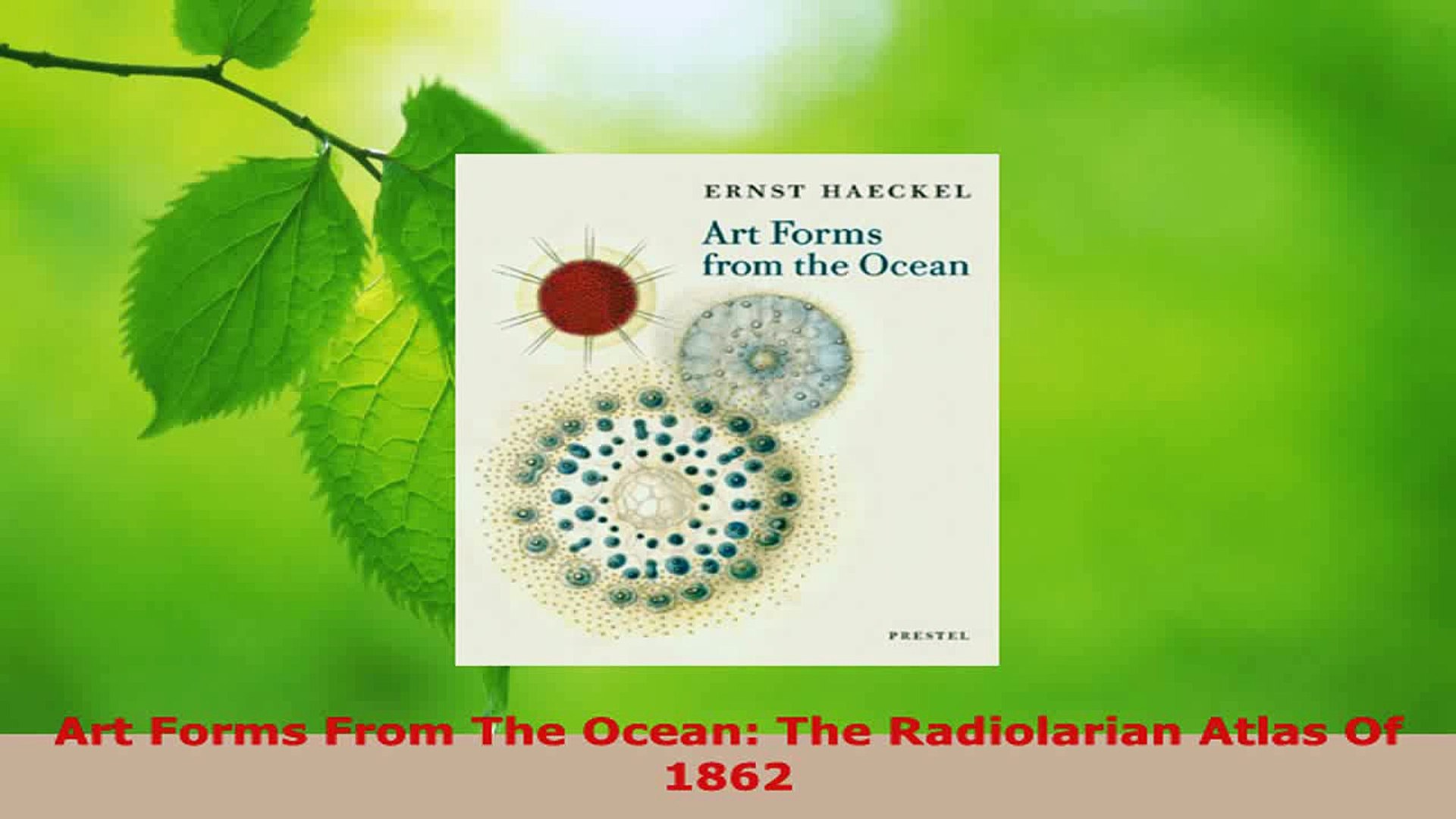 Pdf Download Art Forms From The Ocean The Radiolarian Atlas Of 1862 Read Online Video Dailymotion