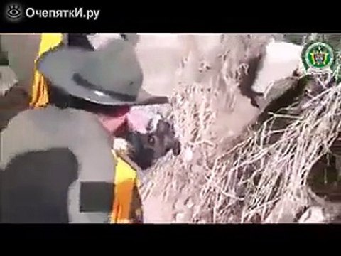 Спасли собаку из бурной реки